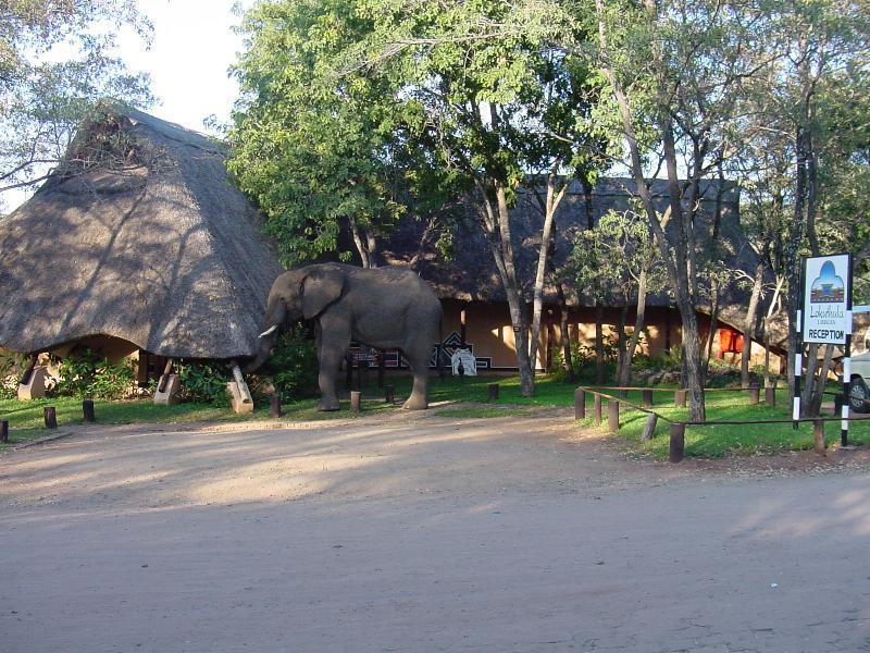 Lokuthula Lodges Καταρράκτες Βικτωρίας Εξωτερικό φωτογραφία